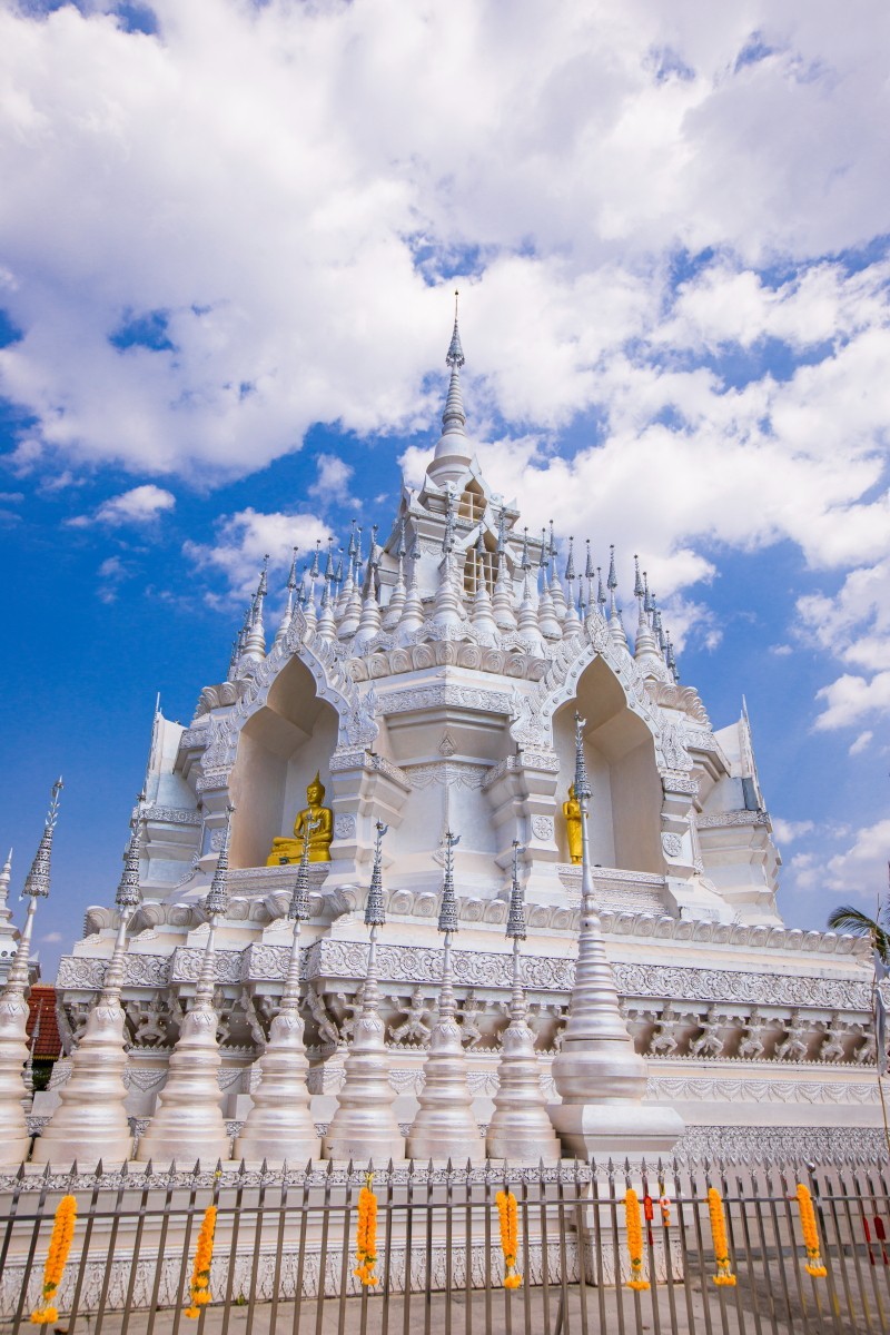 外出随拍（续326）.