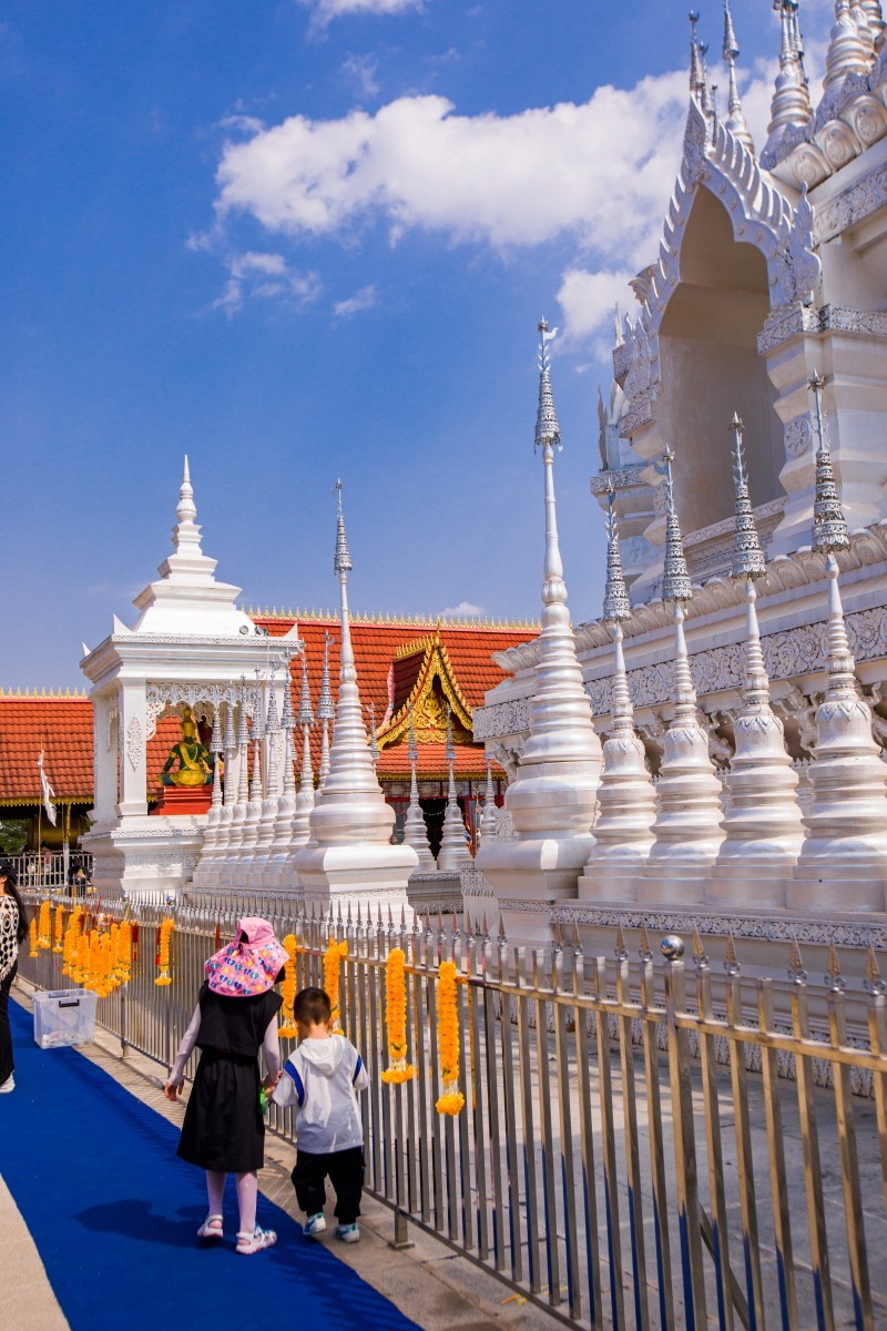 外出随拍（续326）.