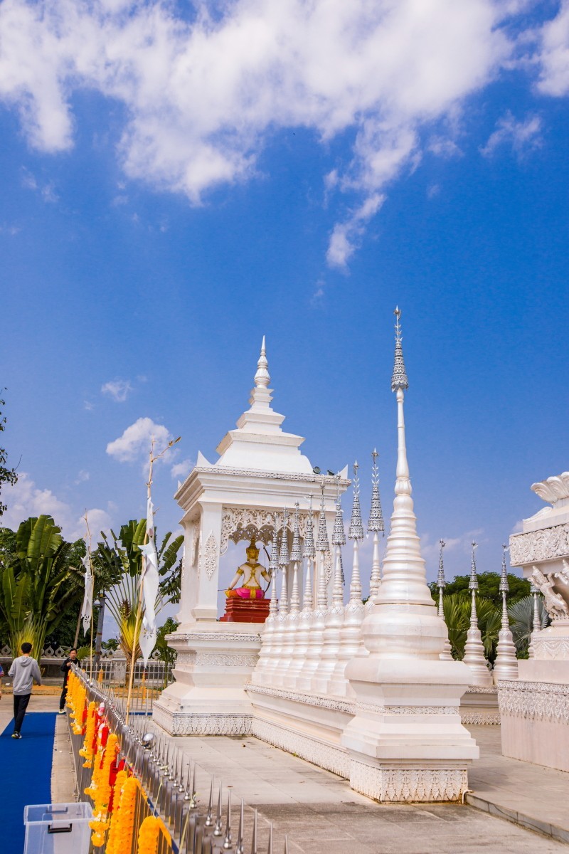 外出随拍（续325）.