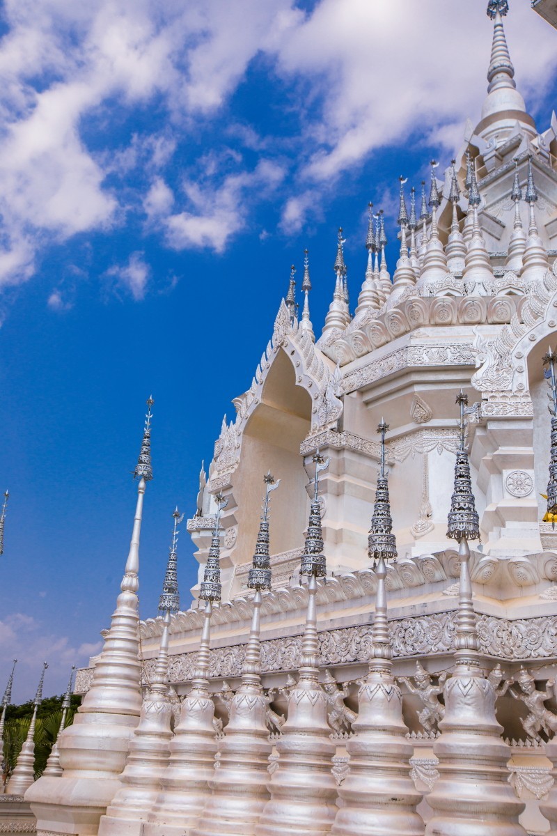 外出随拍（续325）.