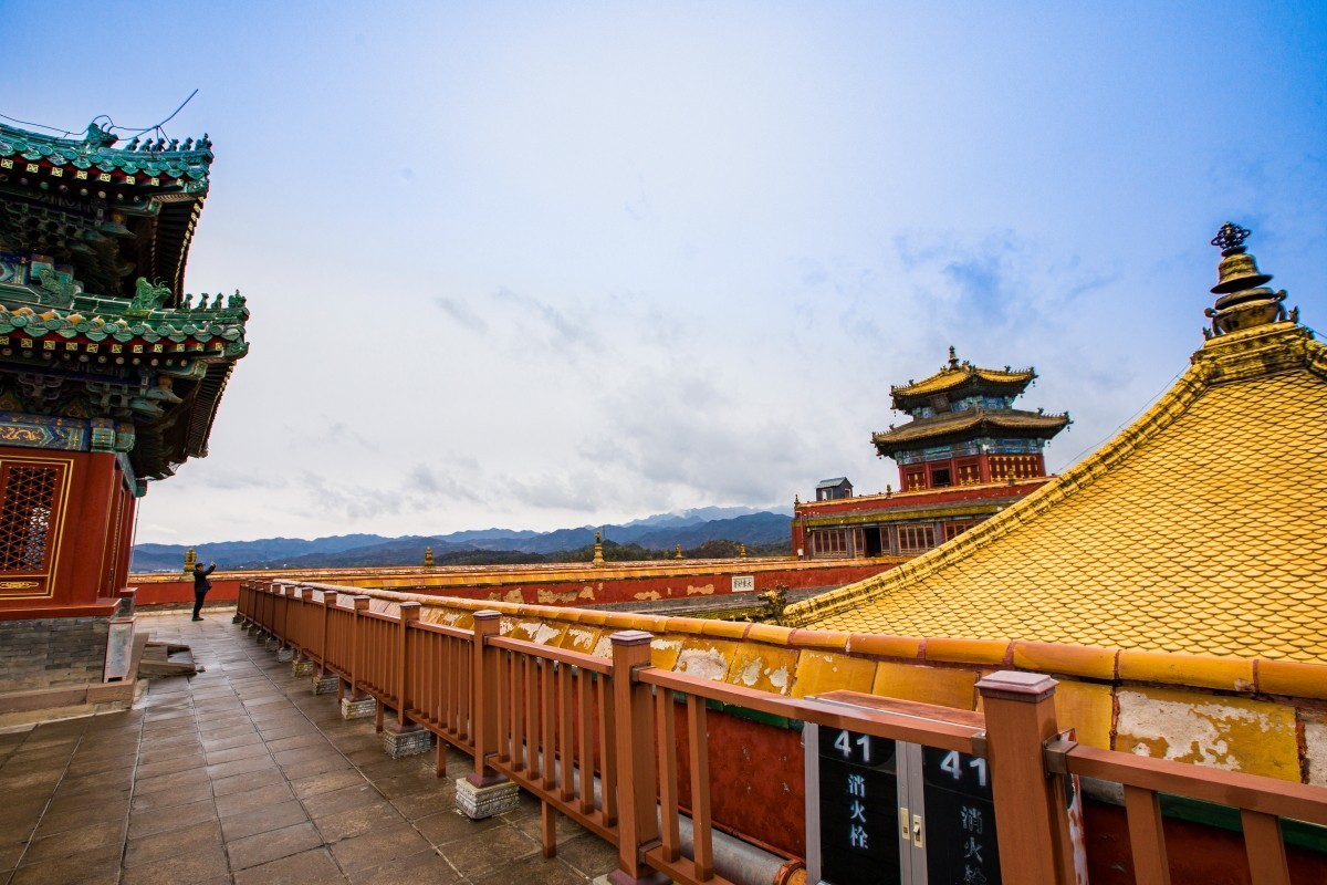 外出随拍（续327）.