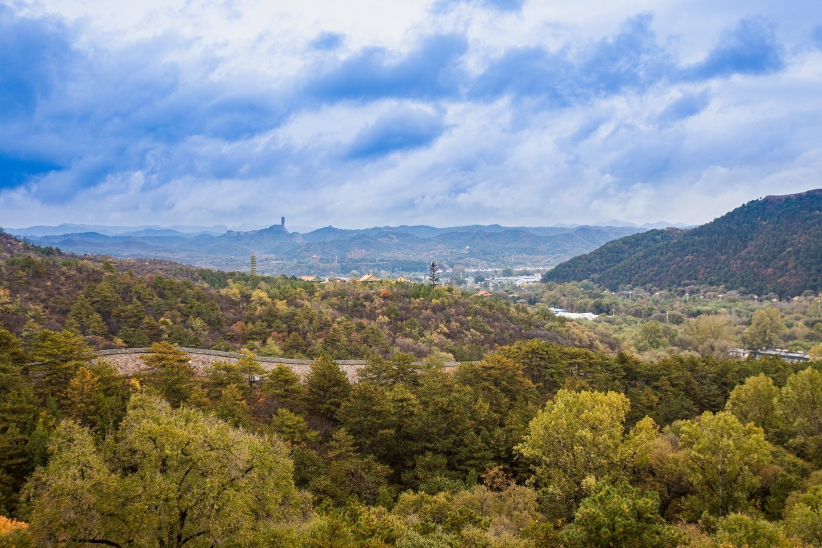 外出随拍（续327）.