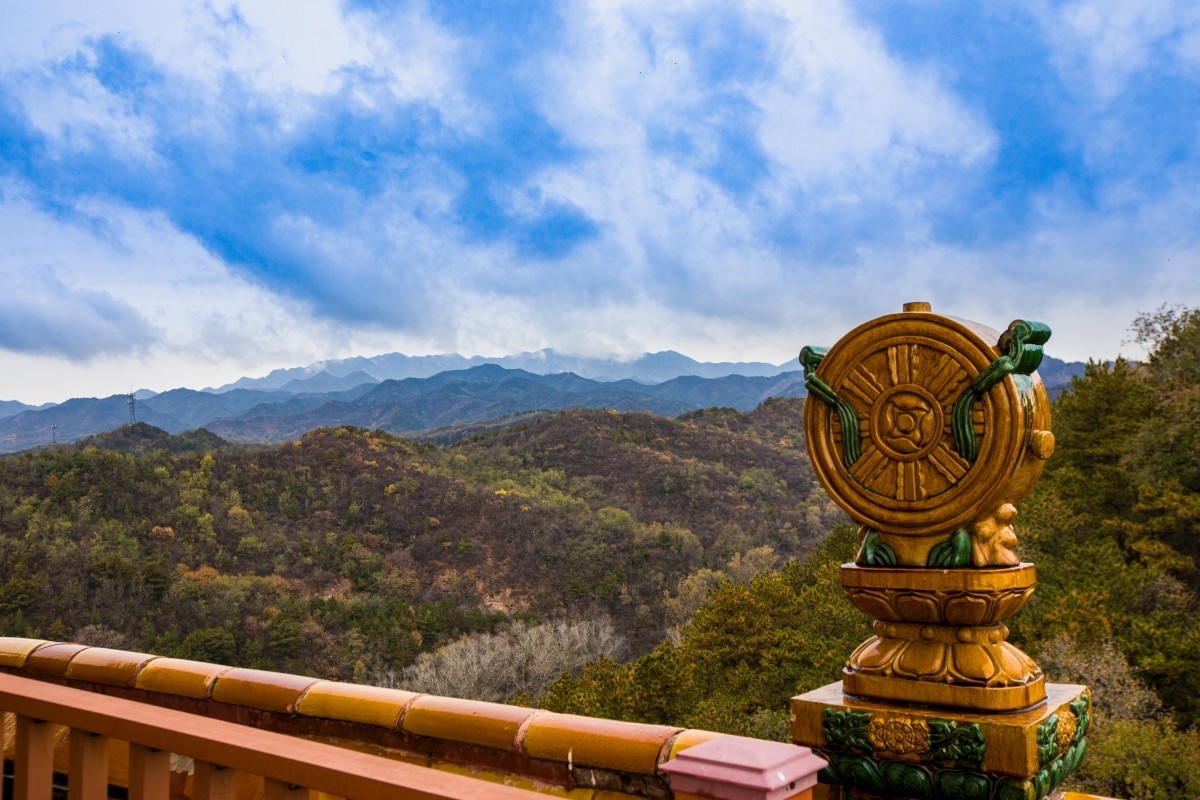 外出随拍（续327）.