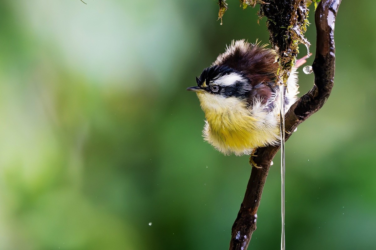 心怀热爱，定格瞬间美好！