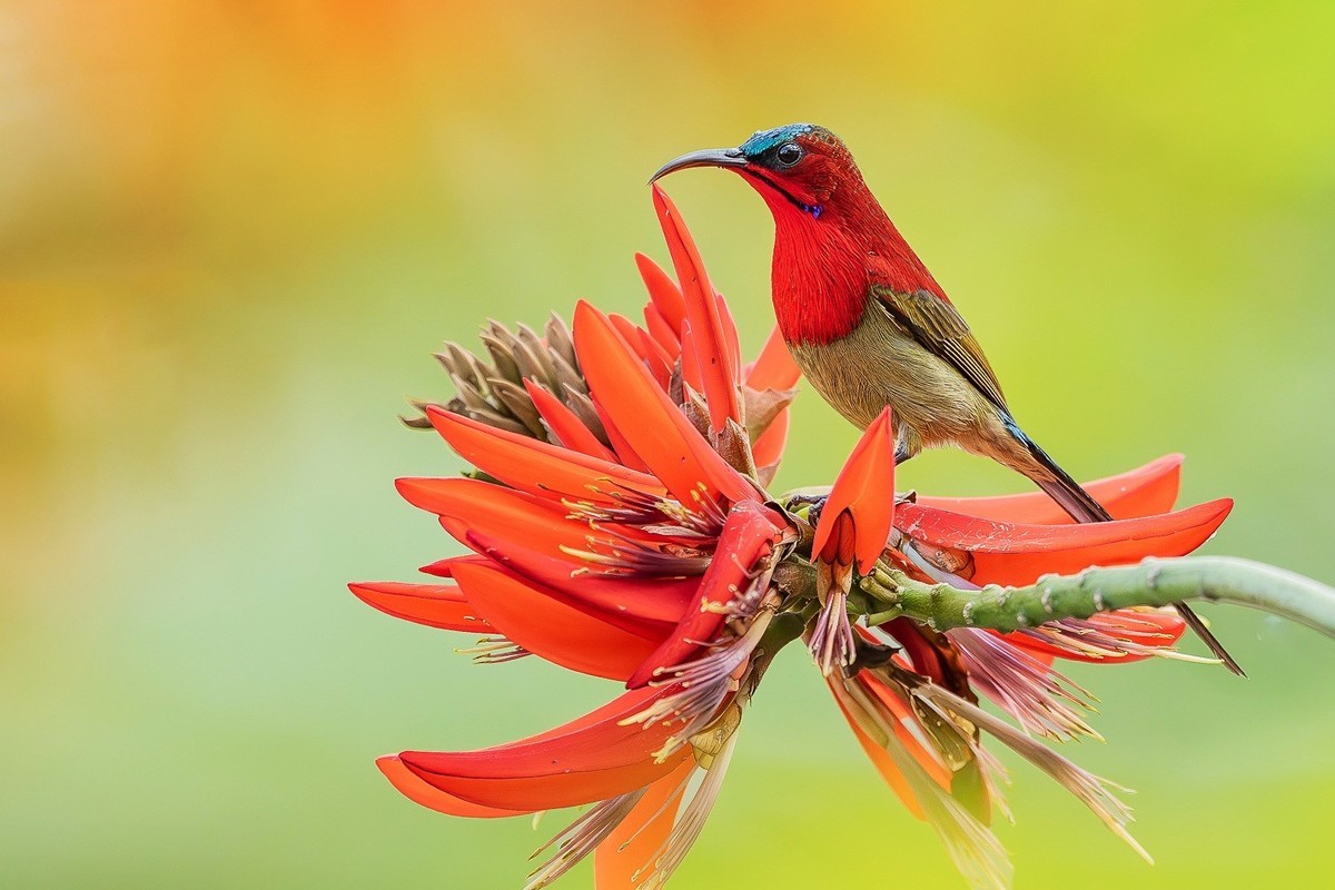 心怀热爱，定格瞬间美好！