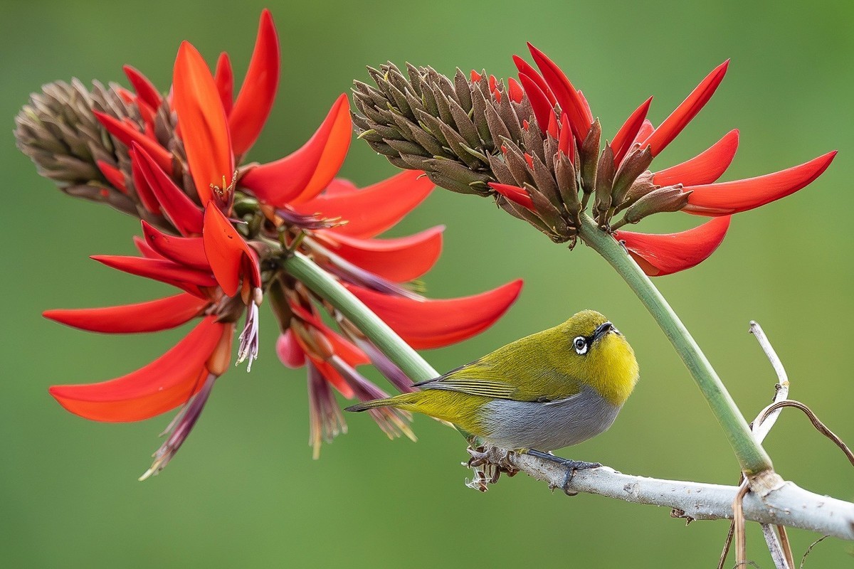 心怀热爱，定格瞬间美好！