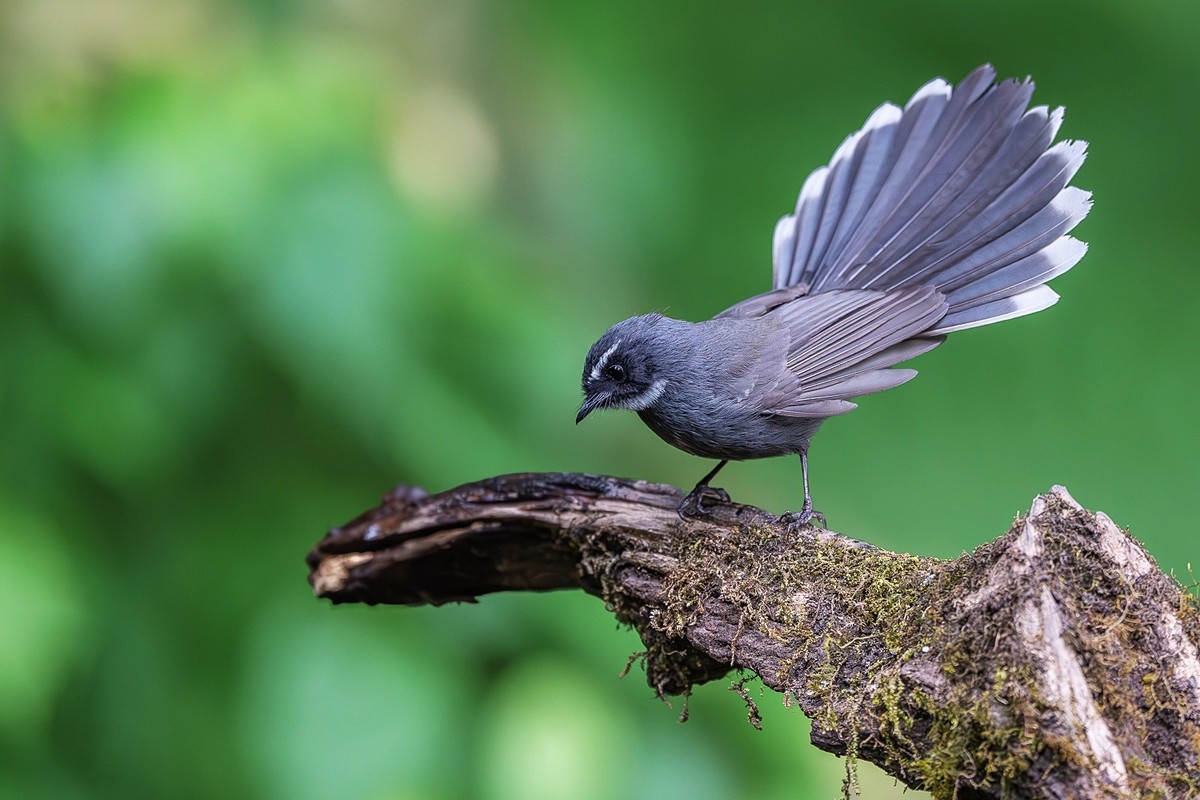 心怀热爱，定格瞬间美好！