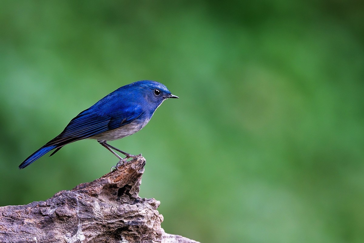 心怀热爱，定格瞬间美好！