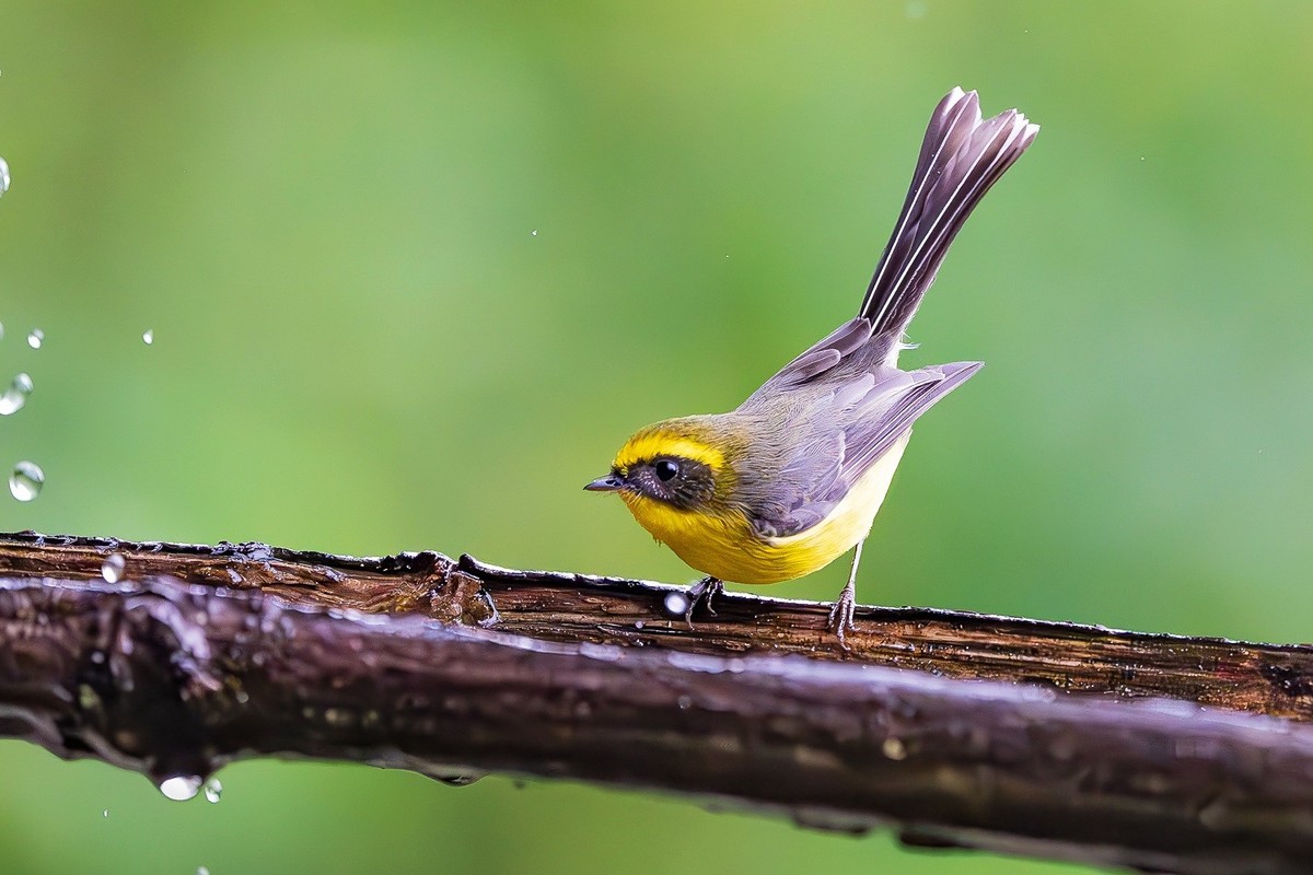 心怀热爱，定格瞬间美好！
