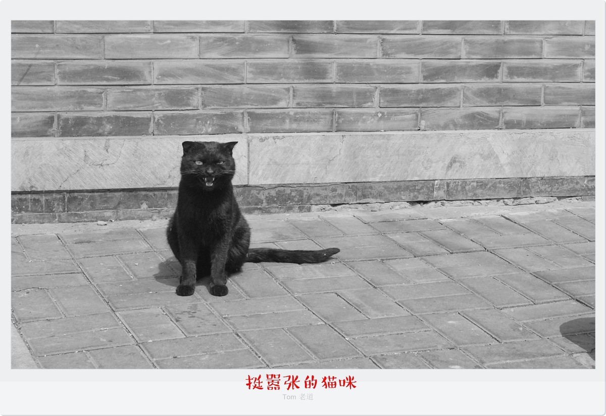 4月11日纪实街拍（10图）