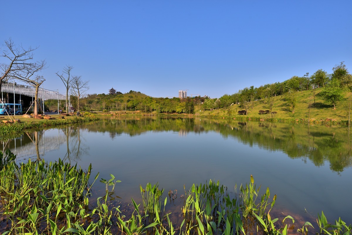 青秀山景区5