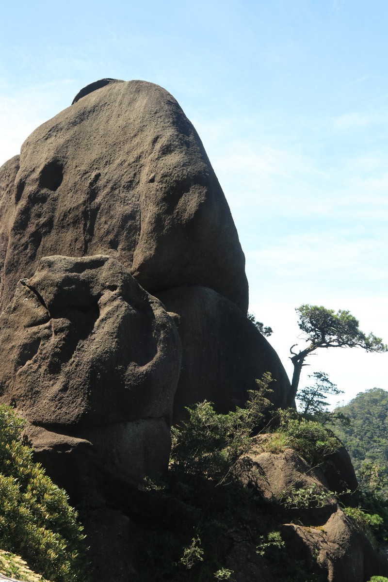 东南五省游之二十一——三清山顶部分风光