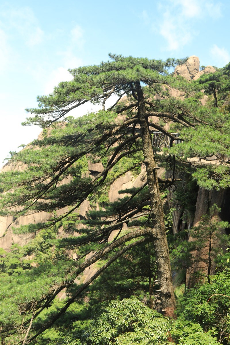 东南五省游之二十二——江西三清山高峰风光