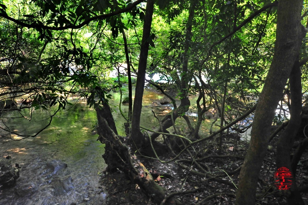 翡翠般的荔波小七孔                /周鸣天