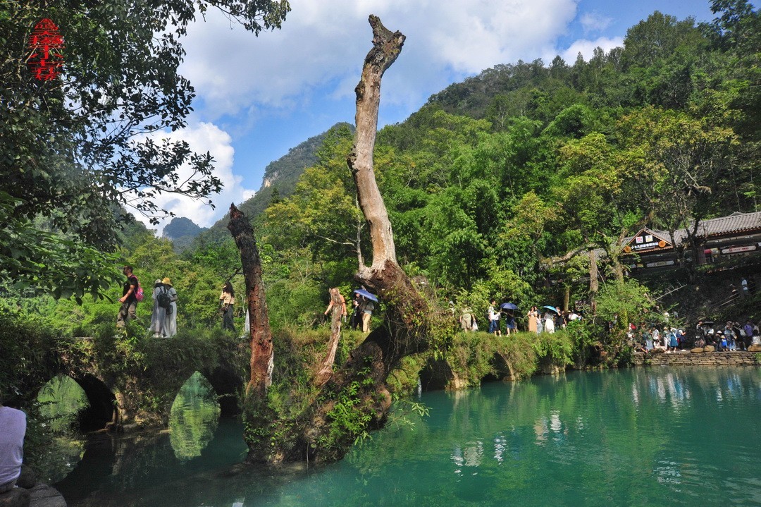 翡翠般的荔波小七孔                /周鸣天