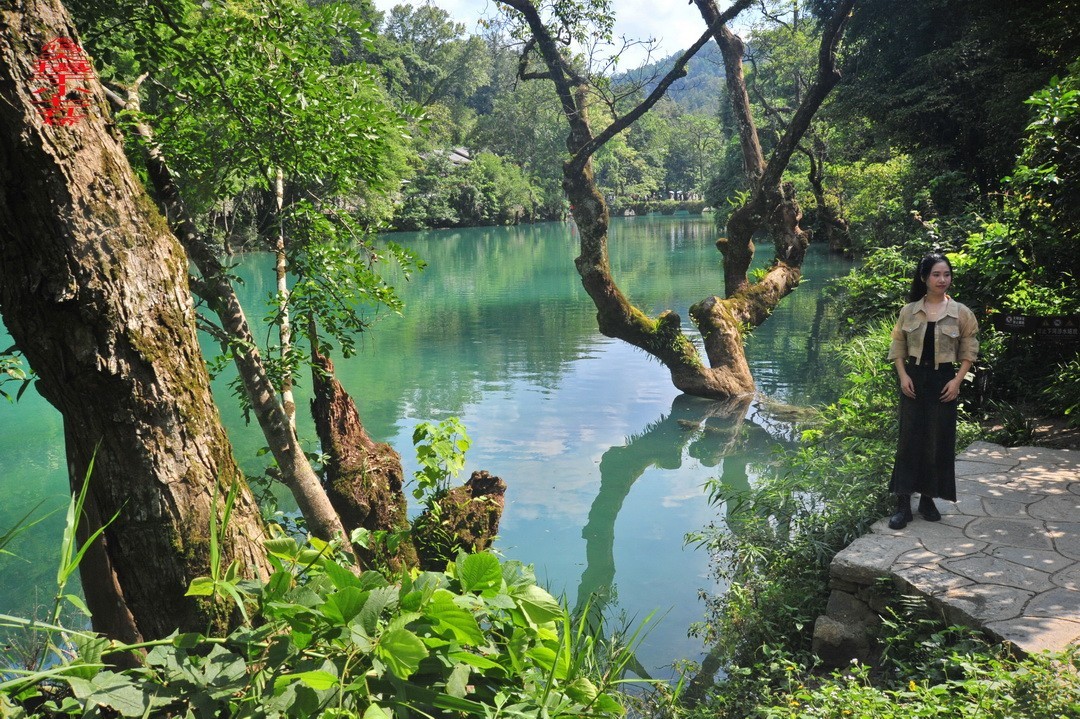 翡翠般的荔波小七孔                /周鸣天