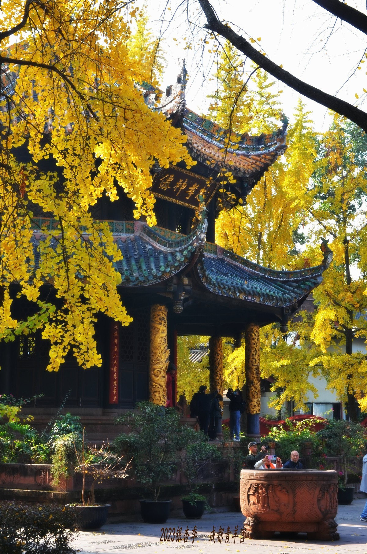 2023成都银杏季——青羊宫的银杏