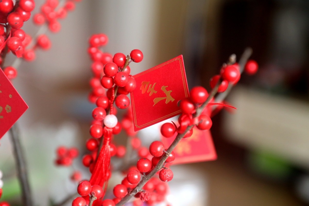 祝你2024平安、美好、吉星高照、梦想成真