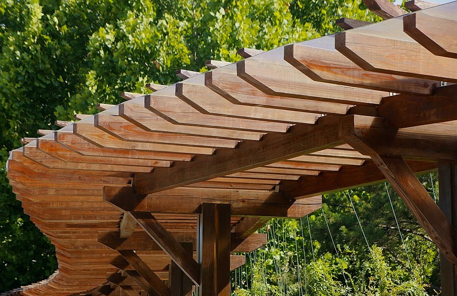 《不老松：纪实摄影》大美沧州系列報道：〕狮城公园！ (04)