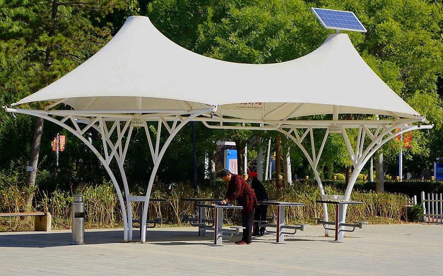 《不老松：纪实摄影》大美沧州系列報道：〕狮城公园！ (04)