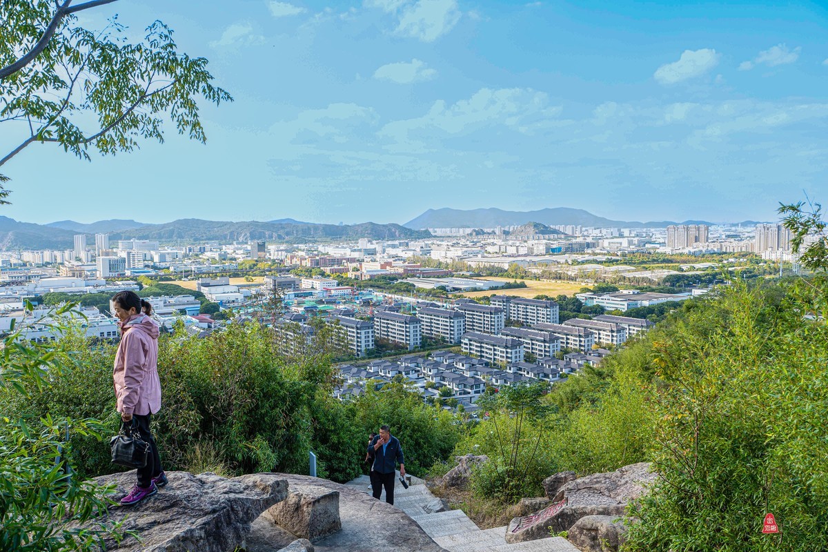 狮山之巅观菇苏新貌