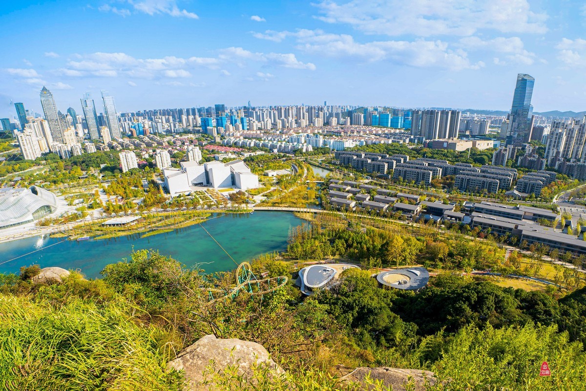 狮山之巅观菇苏新貌