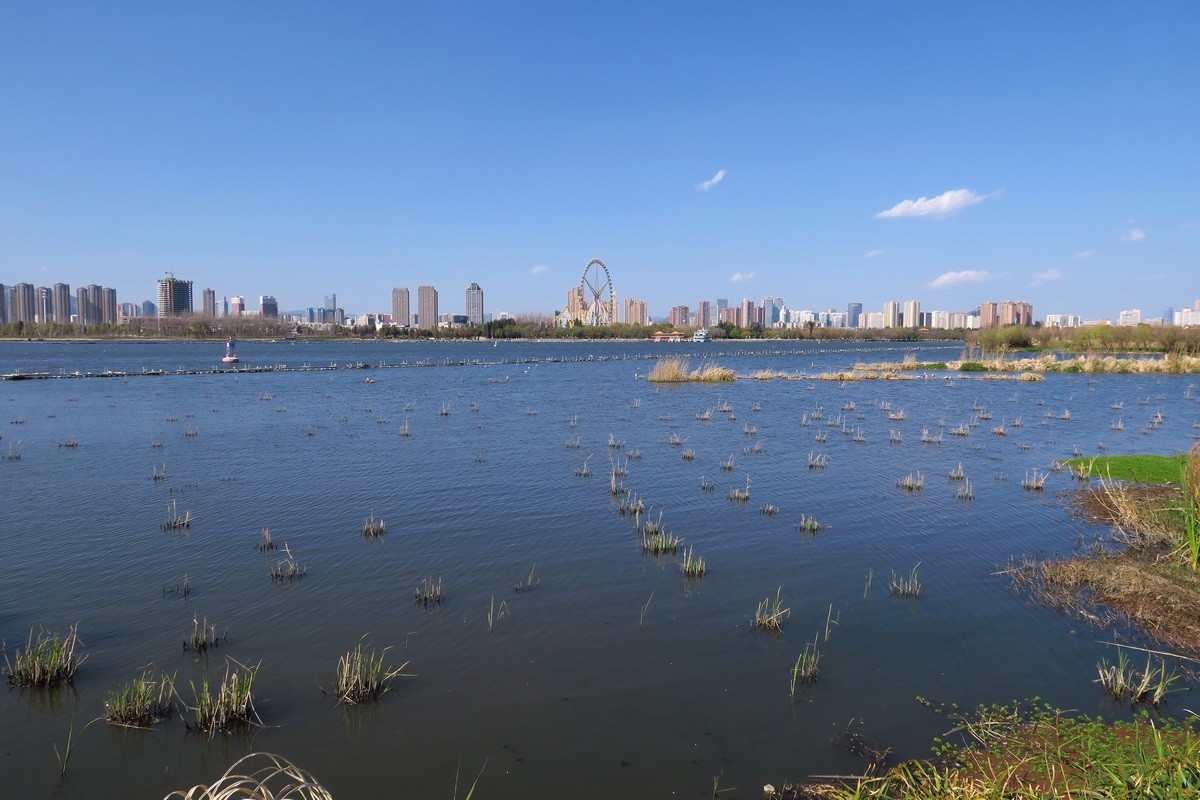 湿地公园游拍