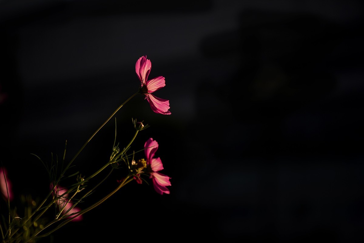 #版主坐堂#小五星空(中国)2022年9月精品荟萃