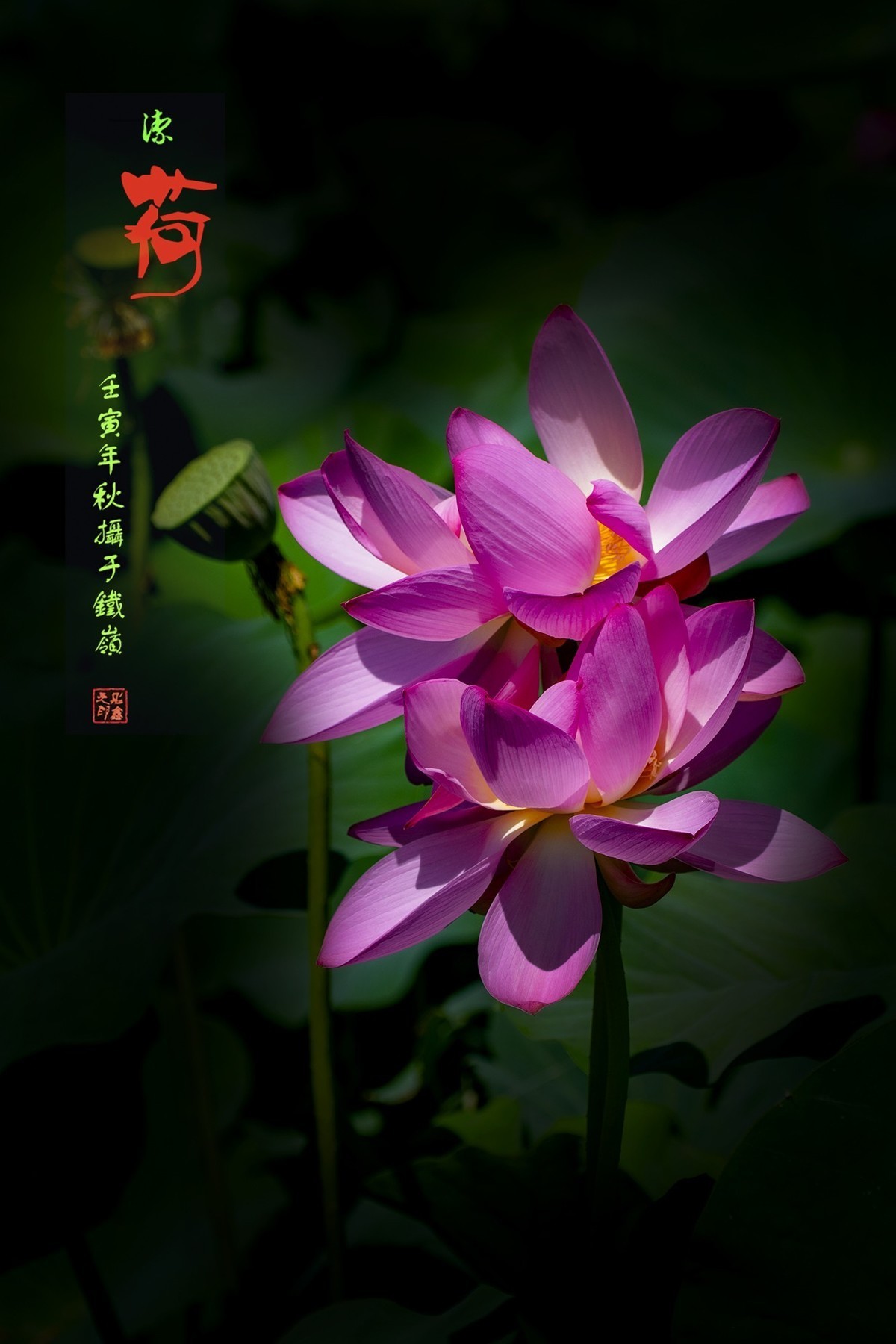 #版主坐堂#小五星空(中国)2022年9月精品荟萃