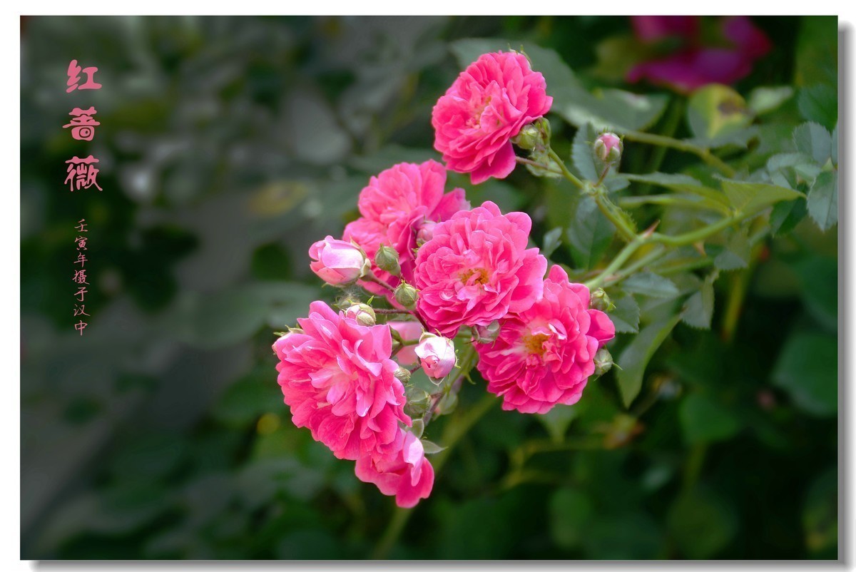 #版主坐堂#小五星空(中国)2022年9月精品荟萃