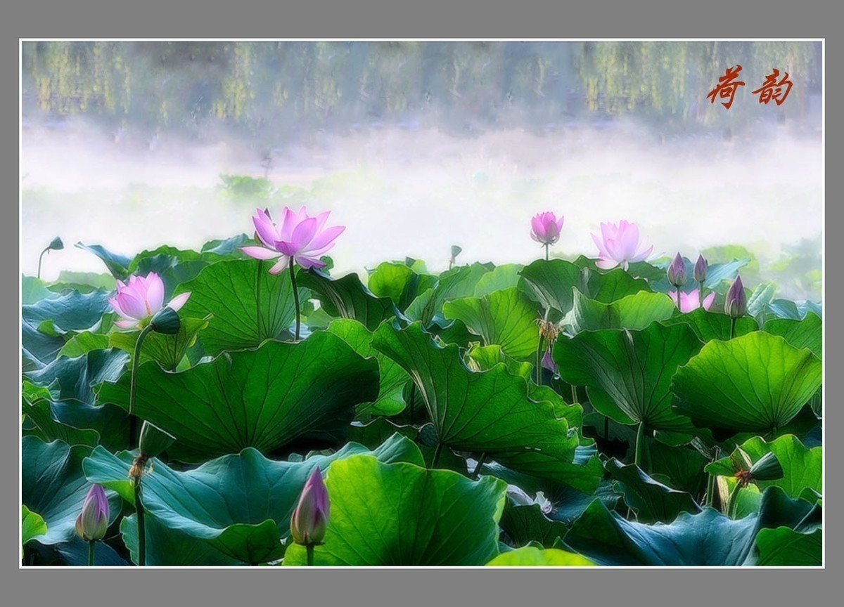 #版主坐堂#小五星空(中国)2022年9月精品荟萃