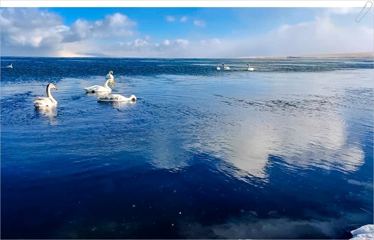 2022年第1060贴-赛里木湖抓拍-421（1226F）