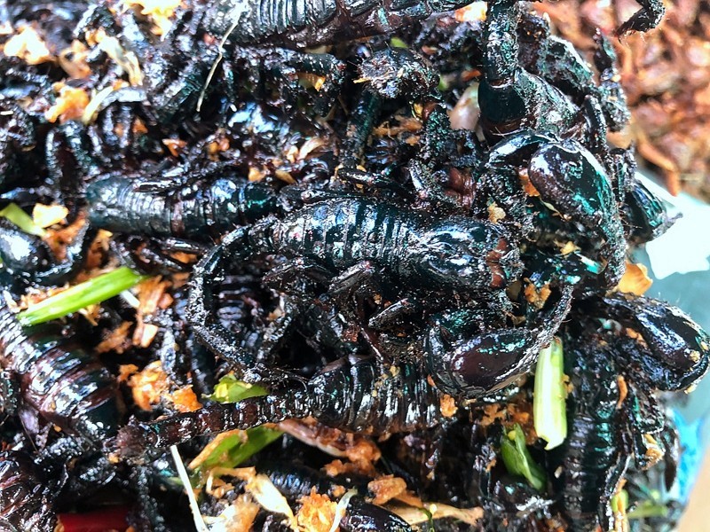 《不老松：异国风情彔：2015中国优导中游张松：柬埔寨》23第一次看到吃这些东西的。猜