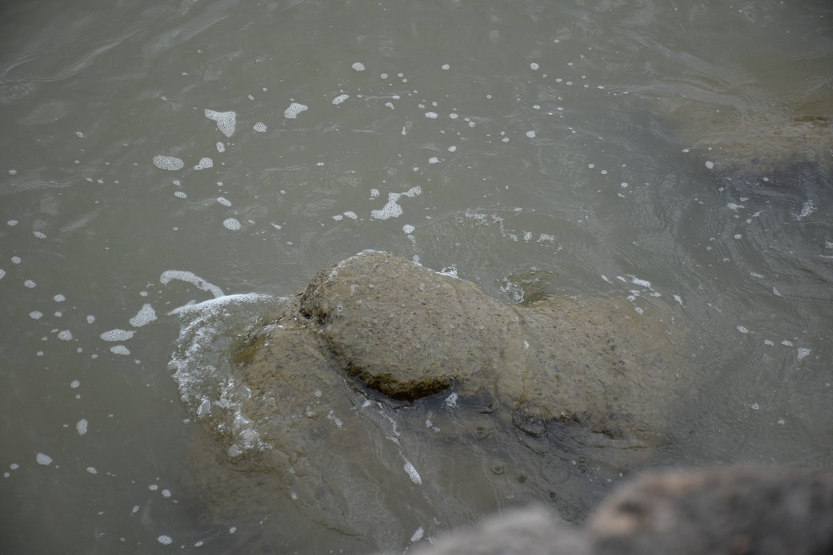 2023春节 桂粤行（52）虎门