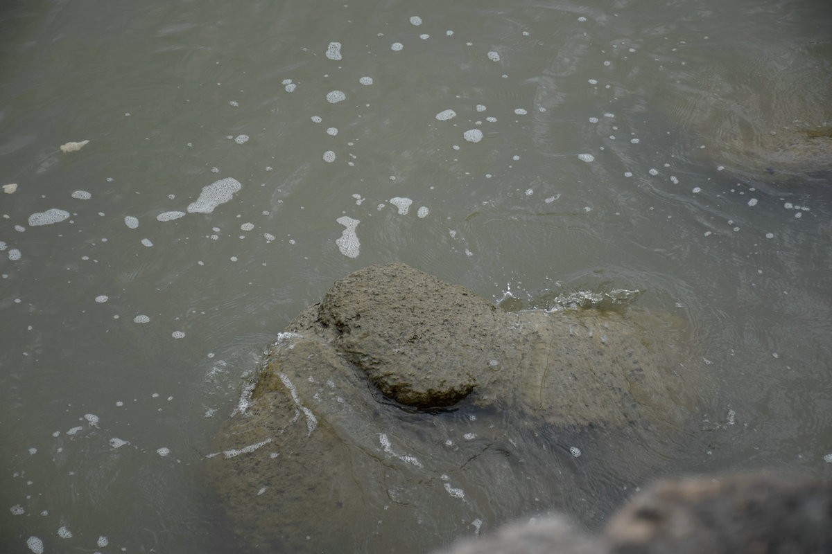 2023春节 桂粤行（52）虎门