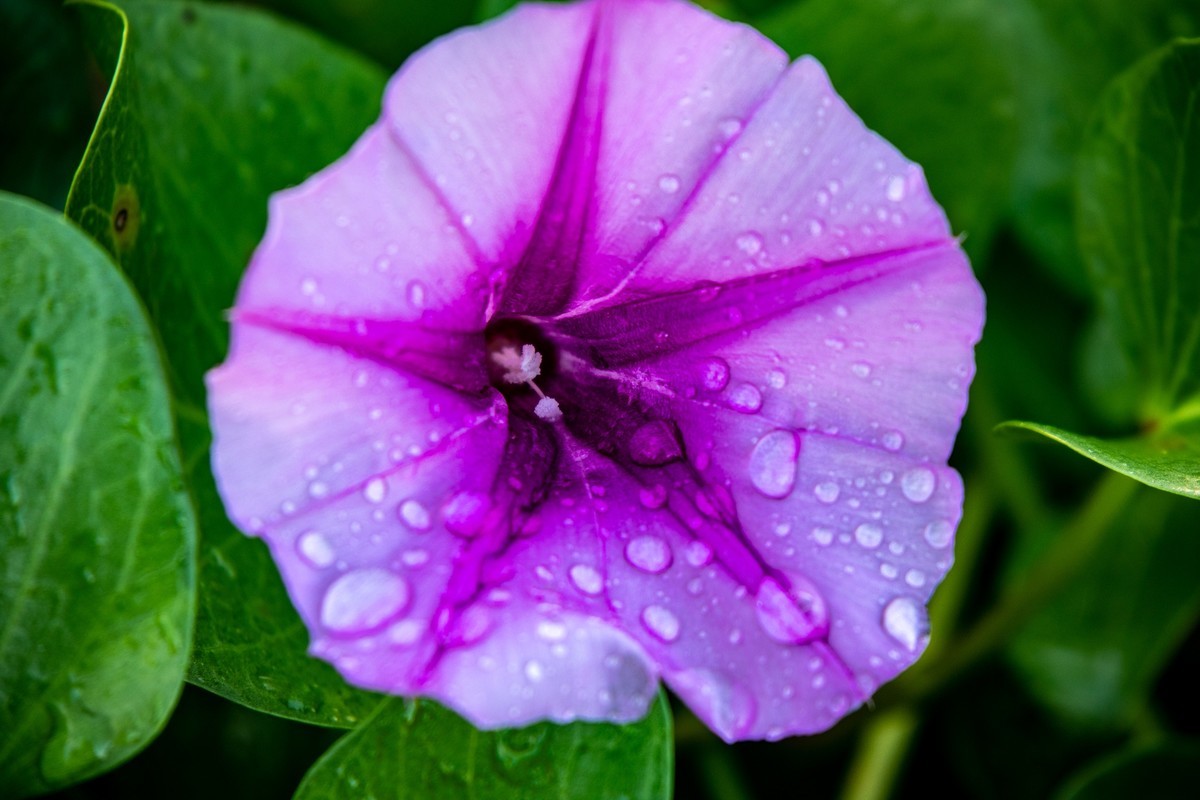 惠州——磨子石公园（二）