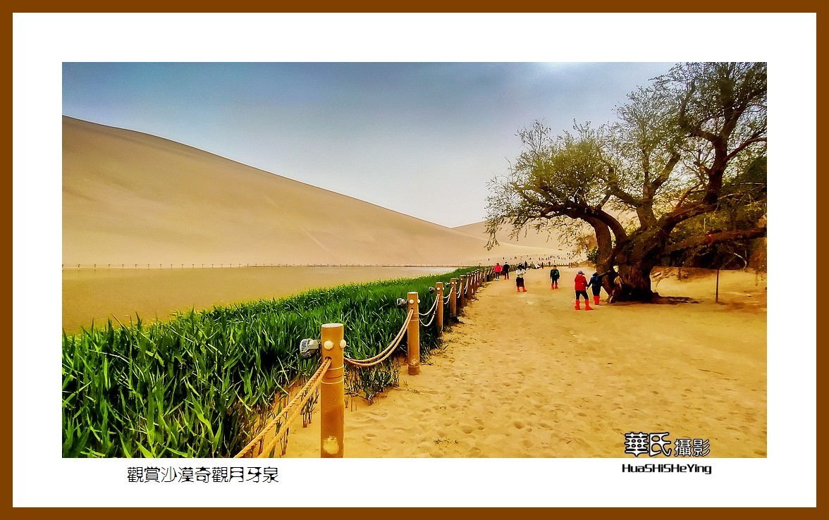 2023西行游记(甘肃023)——观赏沙漠奇观月牙泉(酒泉市敦煌)-中关村在线摄影论坛