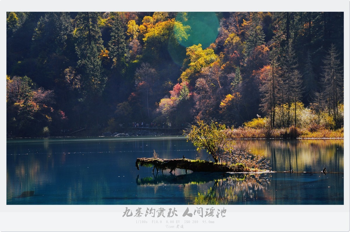 九寨沟秋色 人间瑶池！-中关村在线摄影论坛