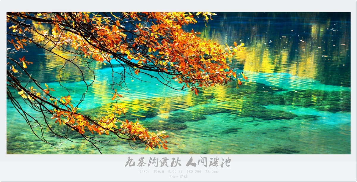 九寨沟秋色 人间瑶池！-中关村在线摄影论坛