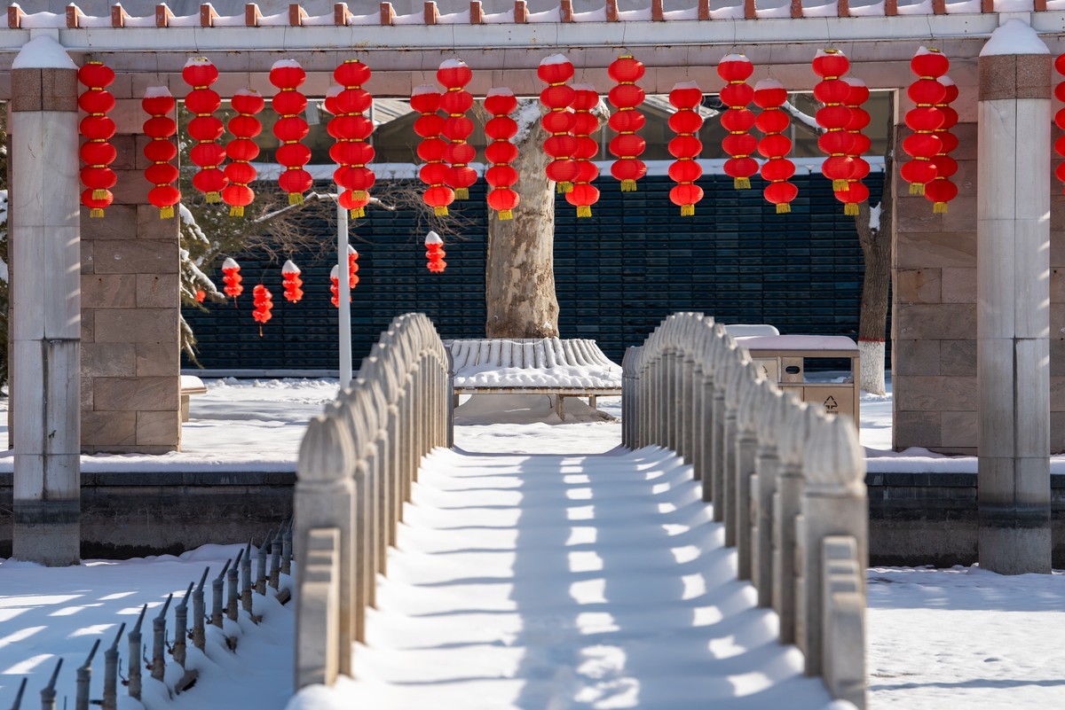 雪后植物园
