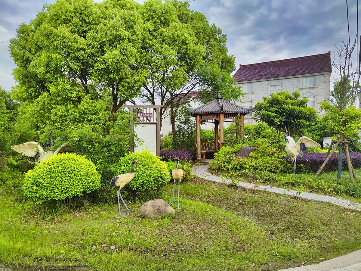 美丽乡村长达村