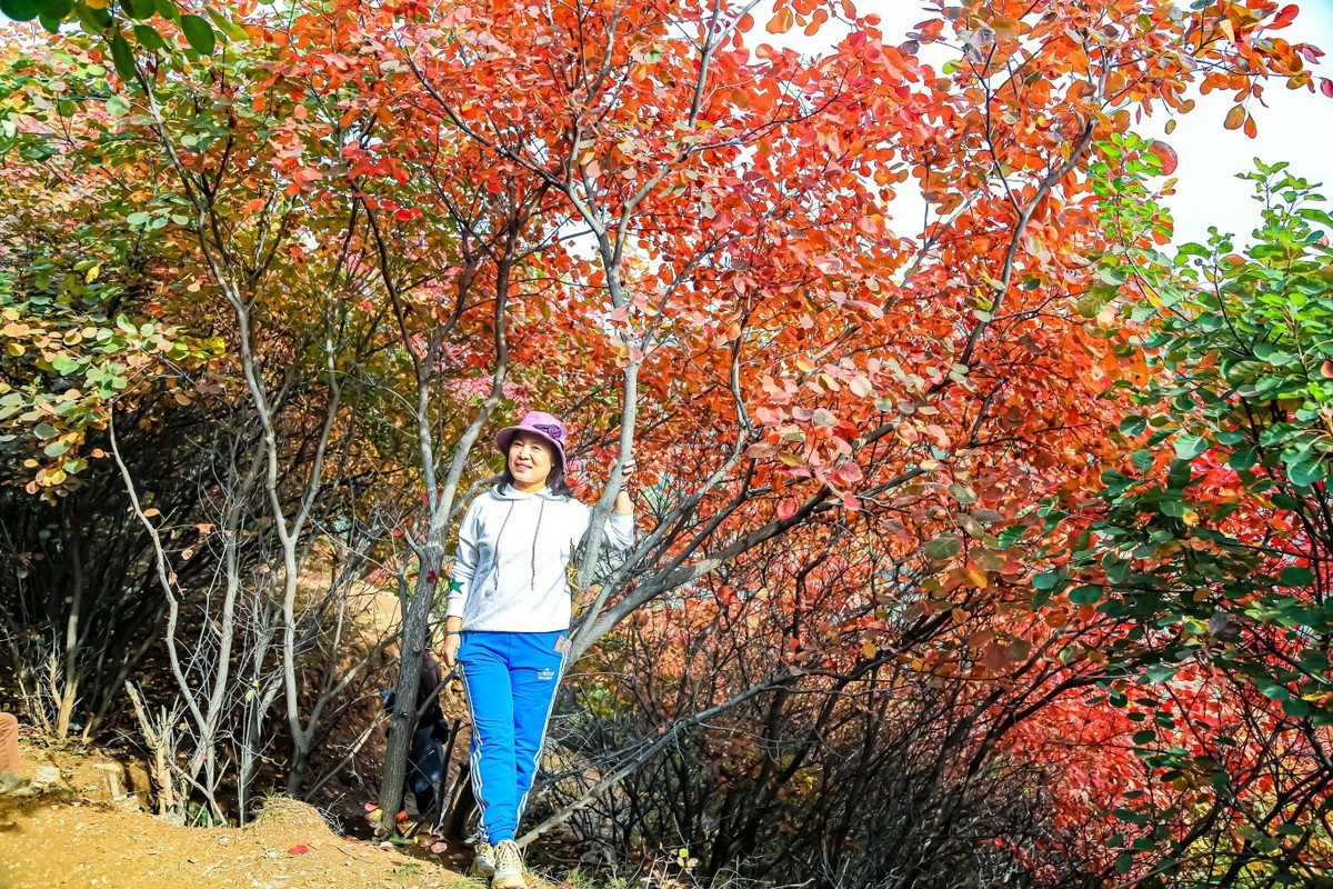 我和红叶有个约