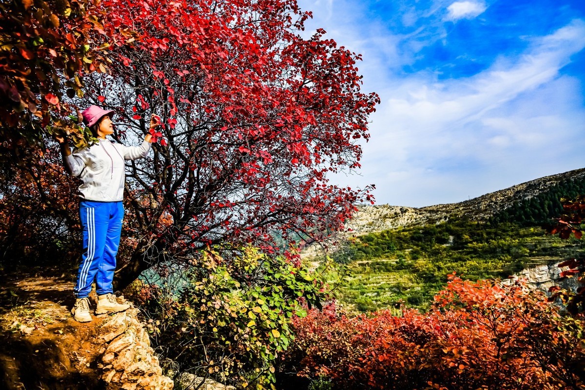 我和红叶有个约