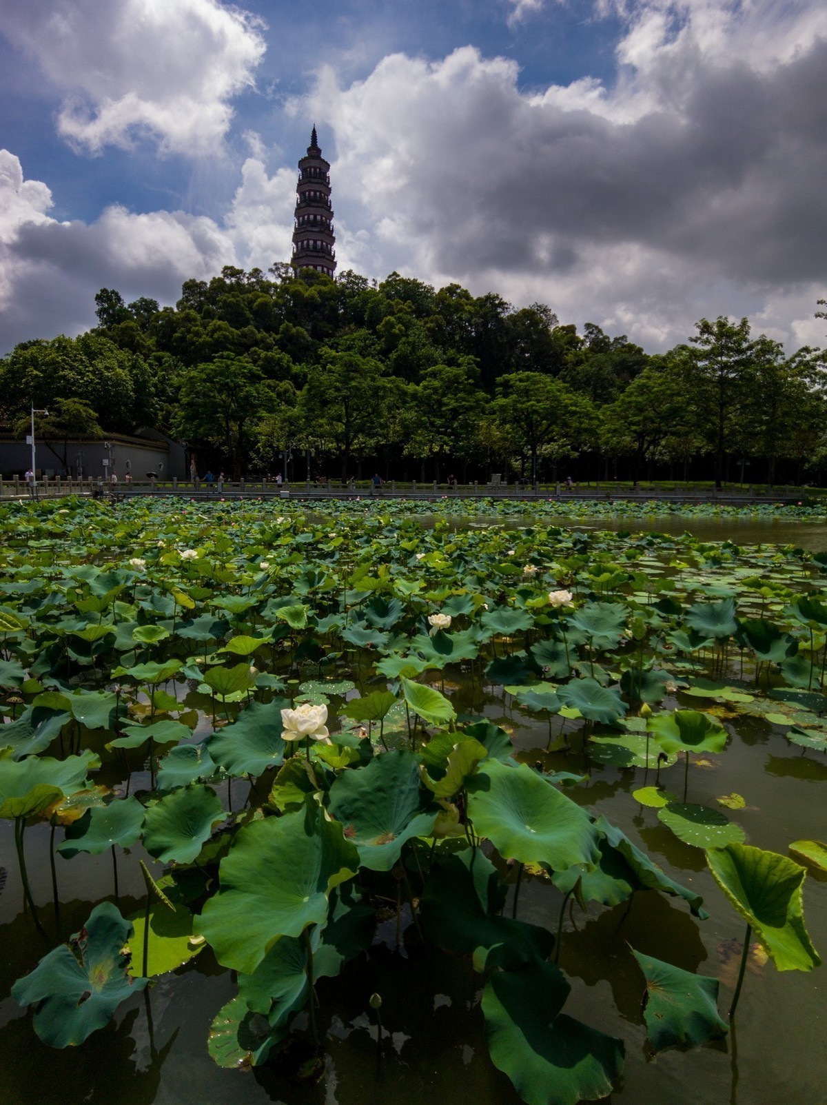 十月份精华荟萃