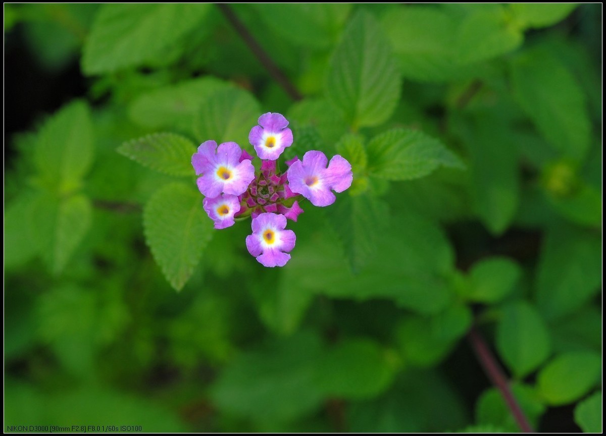 十月份精华荟萃