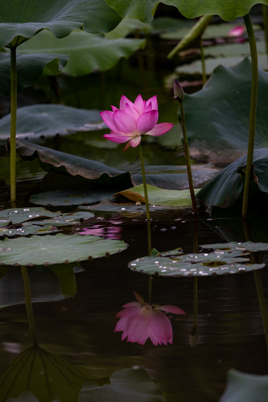 十月份精华荟萃