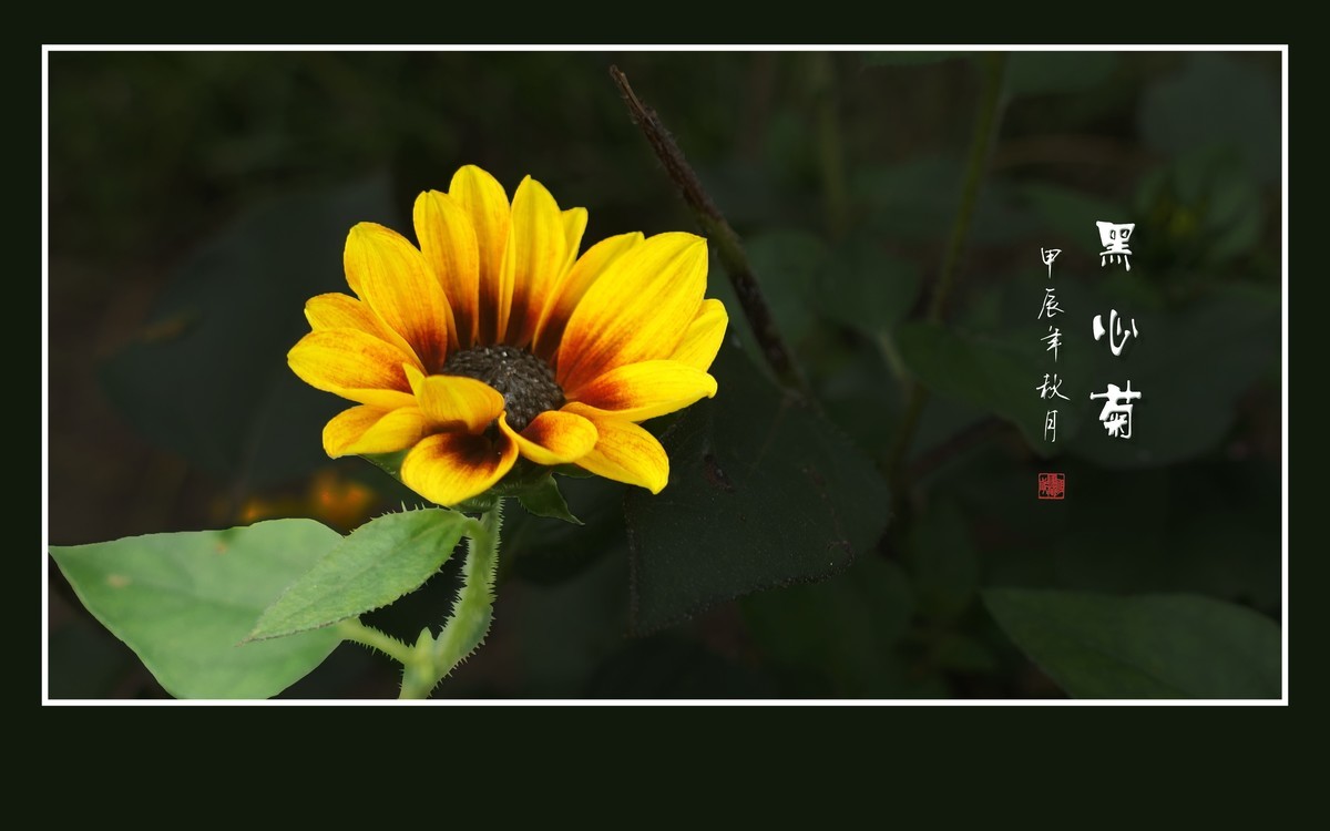 十月份精华荟萃