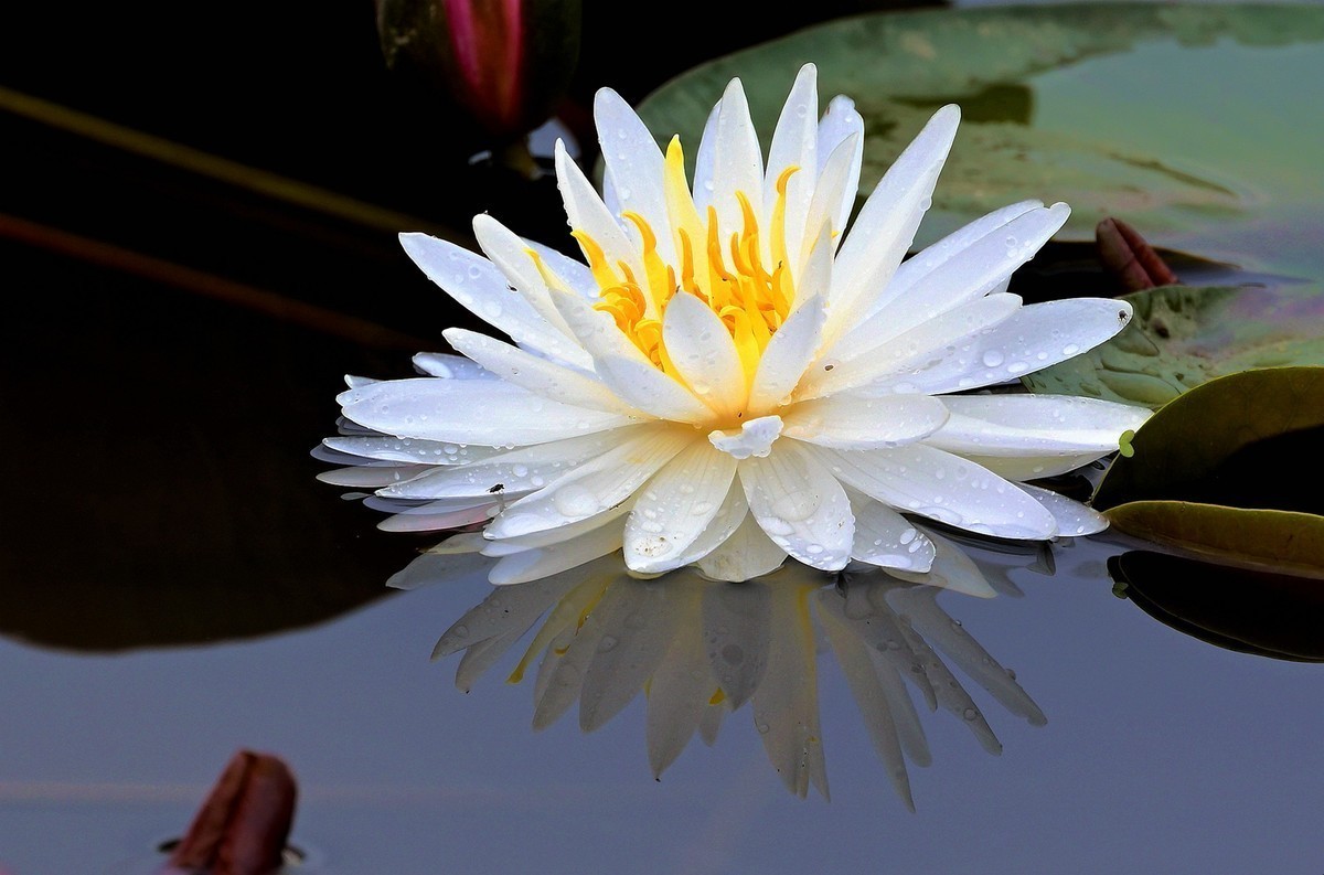 十月份精华荟萃