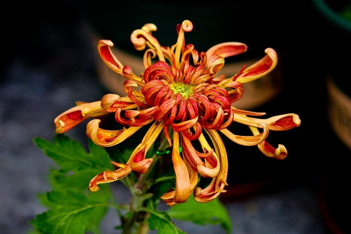 十月份精华荟萃