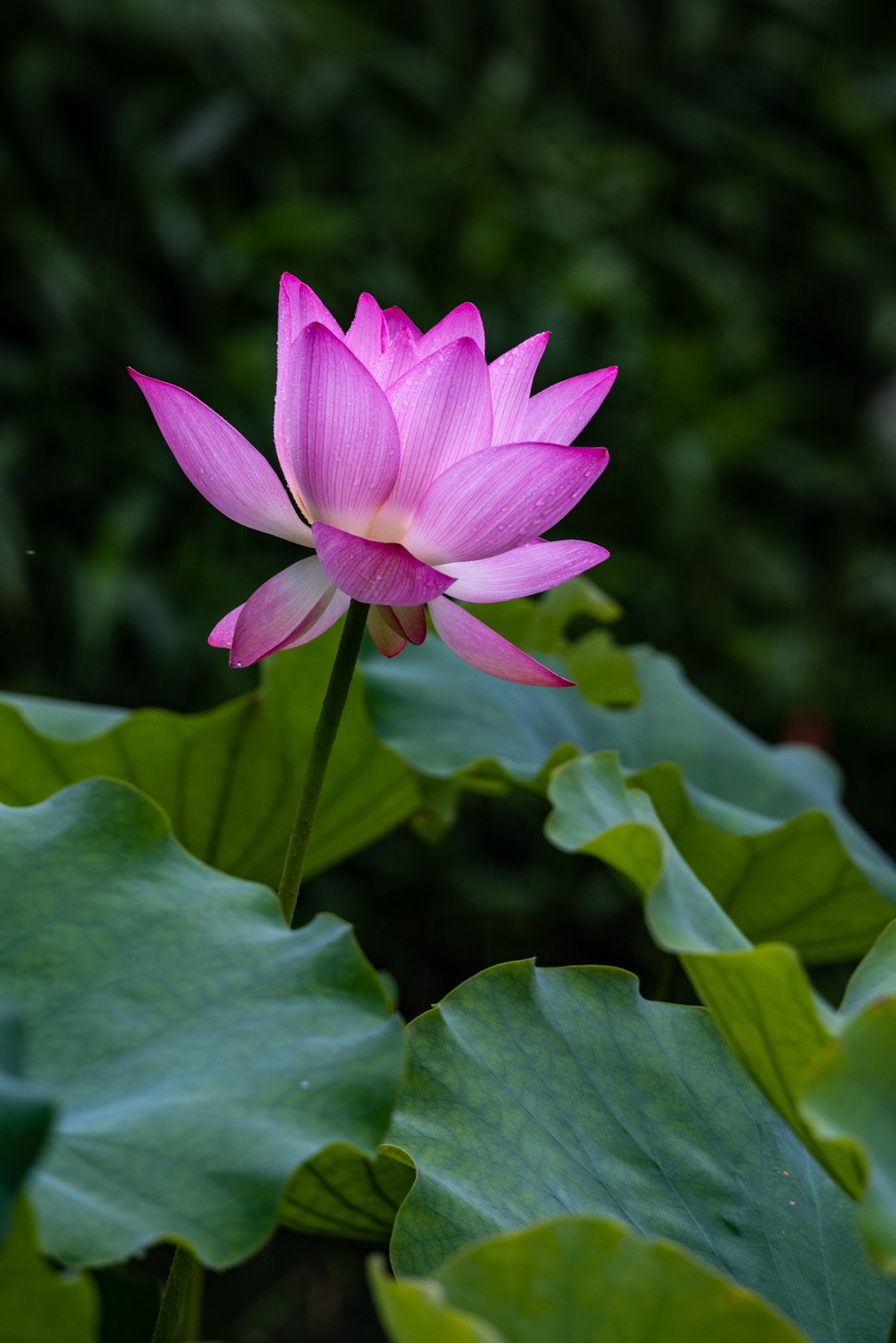 十月份精华荟萃